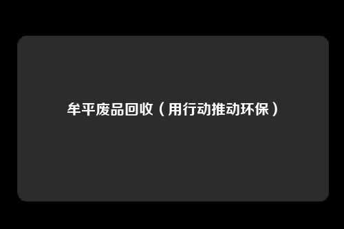 牟平废品回收（用行动推动环保）