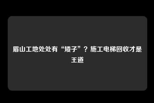 眉山工地处处有“矮子”?施工电梯回收才是王道