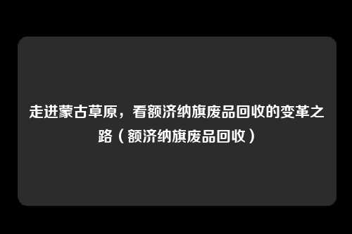 走进蒙古草原，看额济纳旗废品回收的变革之路（额济纳旗废品回收）