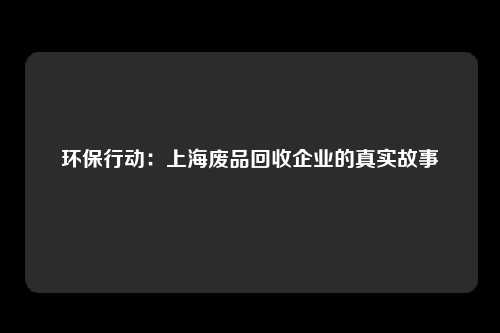 环保行动:上海废品回收企业的真实故事