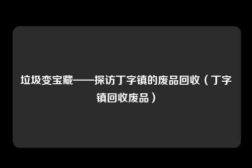 垃圾变宝藏——探访丁字镇的废品回收（丁字镇回收废品）