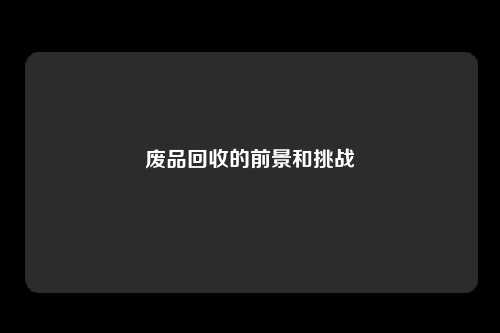 废品回收的前景和挑战