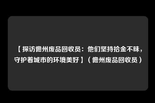 【探访儋州废品回收员：他们坚持拾金不昧，守护着城市的环境美好】（儋州废品回收员）