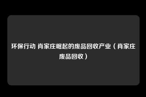 环保行动 肖家庄崛起的废品回收产业（肖家庄废品回收）
