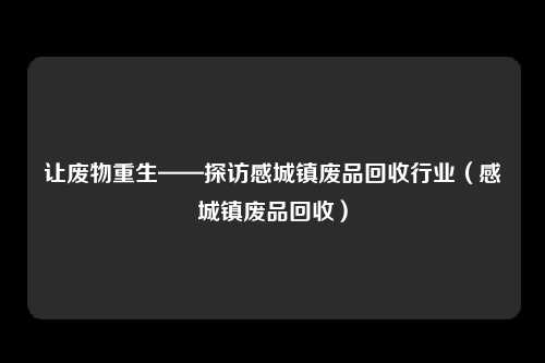 让废物重生——探访感城镇废品回收行业（感城镇废品回收）
