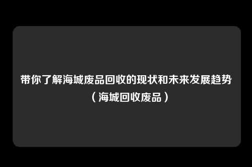 带你了解海城废品回收的现状和未来发展趋势（海城回收废品）
