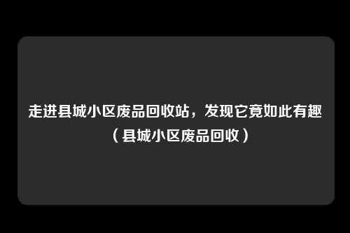 走进县城小区废品回收站,发现它竟如此有趣(县城小区废品回收)