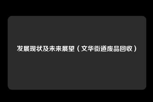 发展现状及未来展望（文华街道废品回收）