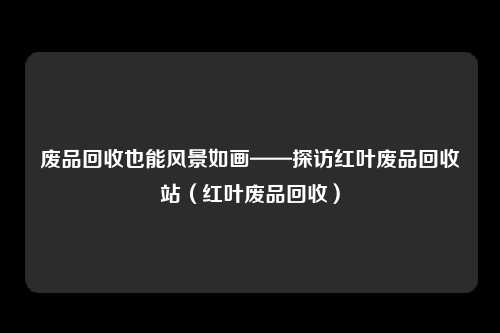 废品回收也能风景如画——探访红叶废品回收站（红叶废品回收）