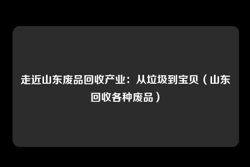 走近山东废品回收产业：从垃圾到宝贝（山东回收各种废品）