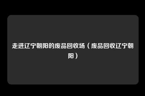 走进辽宁朝阳的废品回收场(废品回收辽宁朝阳)