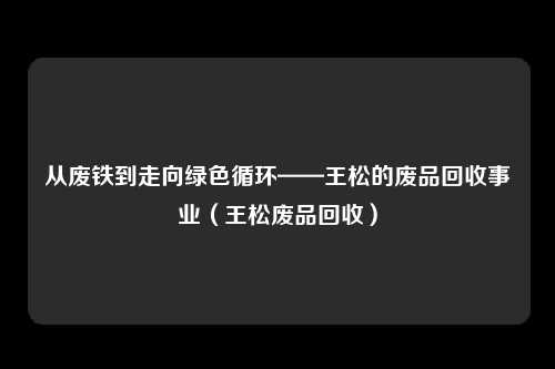 从废铁到走向绿色循环——王松的废品回收事业（王松废品回收）