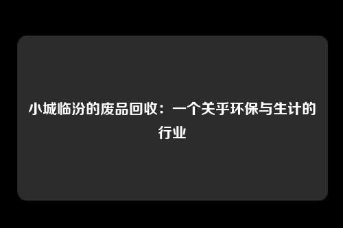 小城临汾的废品回收：一个关乎环保与生计的行业