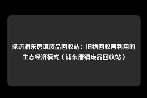 探访浦东唐镇废品回收站：旧物回收再利用的生态经济模式（浦东唐镇废品回收站）