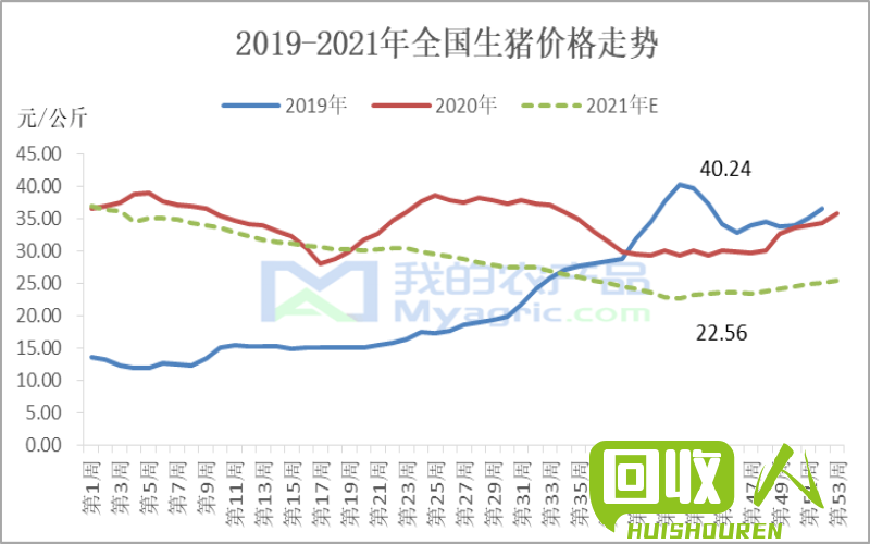 最新纸皮价格及市场趋势分析 今日纸皮最新价格表