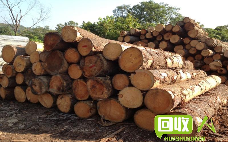 木材回收价格一览：废木的市场行情解析 废木才回收价格是多少钱