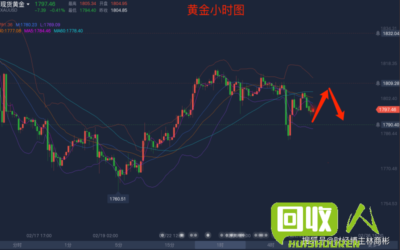 山东铅价格走势剖析及未来趋势展望 山东铅价格最新走势图