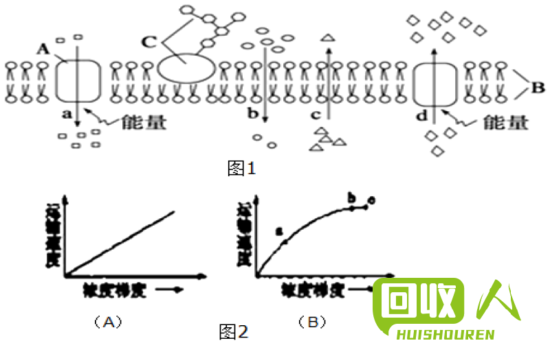 山东年废塑料产量及处理方式分析 山东一年产生多少废塑料