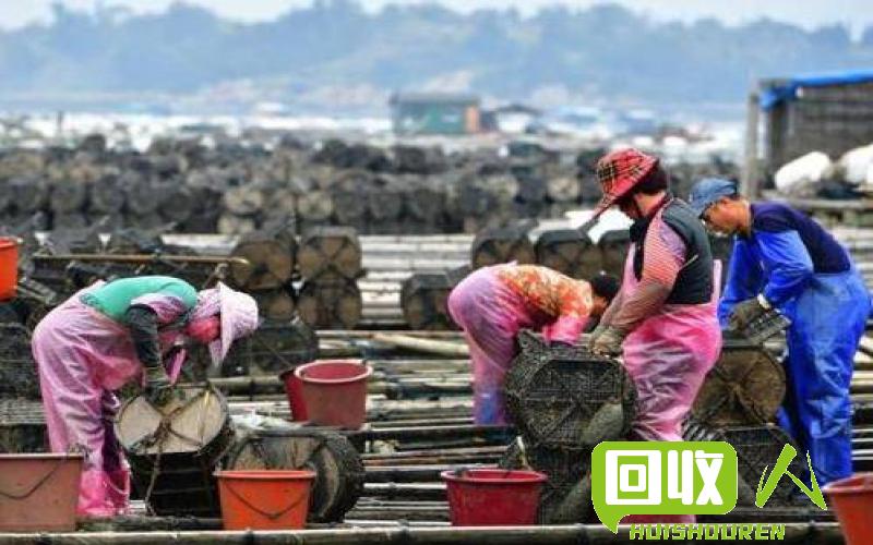 天津废铁市场行情分析及价格走势 天津市废铁价格