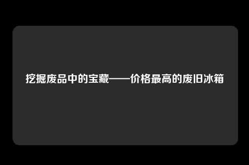 挖掘废品中的宝藏——价格最高的废旧冰箱