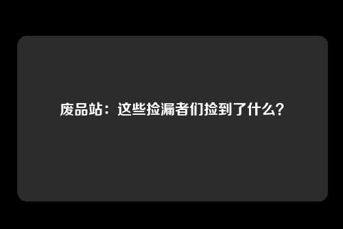 废品站：这些捡漏者们捡到了什么？