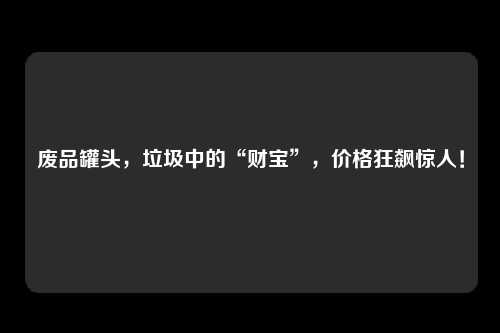 废品罐头，垃圾中的“财宝”，价格狂飙惊人！