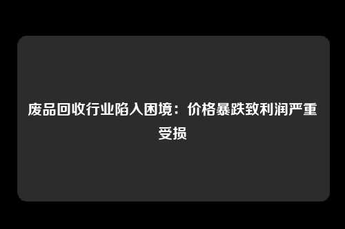 废品回收行业陷入困境：价格暴跌致利润严重受损