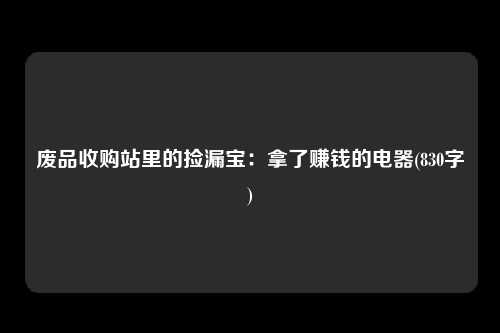 废品收购站里的捡漏宝：拿了赚钱的电器(830字)