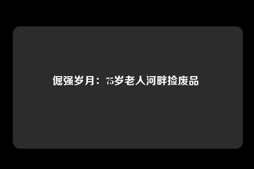 倔强岁月：75岁老人河畔捡废品 