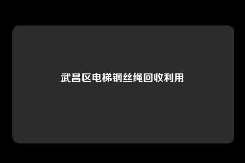 武昌区电梯钢丝绳回收利用