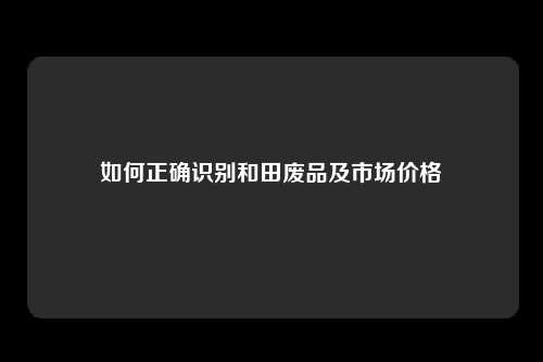 如何正确识别和田废品及市场价格