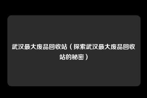 武汉最大废品回收站（探索武汉最大废品回收站的秘密）
