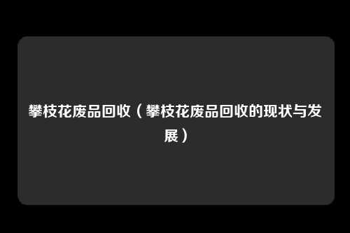 攀枝花废品回收（攀枝花废品回收的现状与发展）