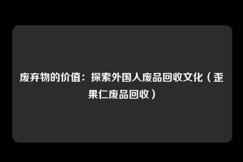 废弃物的价值：探索外国人废品回收文化（歪果仁废品回收）