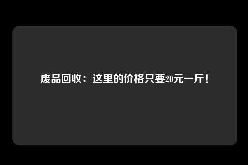 废品回收:这里的价格只要20元一斤!