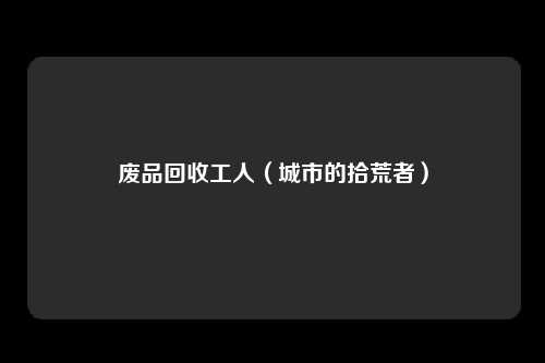 废品回收工人(城市的拾荒者)
