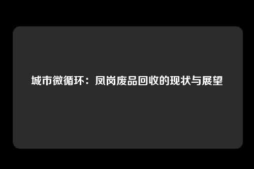 城市微循环:凤岗废品回收的现状与展望