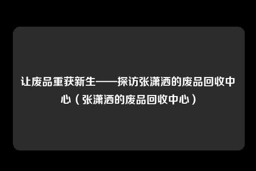 让废品重获新生——探访张潇洒的废品回收中心(张潇洒的废品回收中心)
