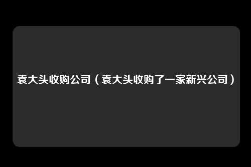 袁大头收购公司(袁大头收购了一家新兴公司)
