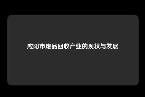 咸阳市废品回收产业的现状与发展