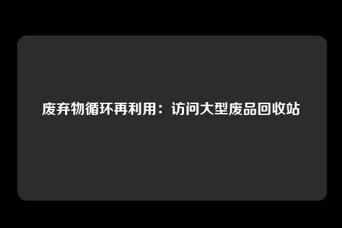 废弃物循环再利用：访问大型废品回收站