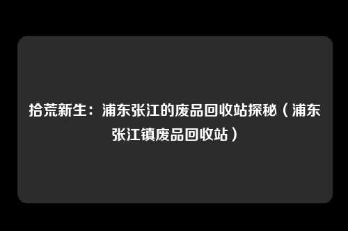 拾荒新生:浦东张江的废品回收站探秘(浦东张江镇废品回收站)