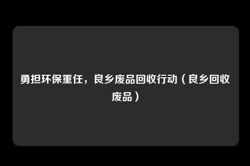 勇担环保重任,良乡废品回收行动(良乡回收废品)