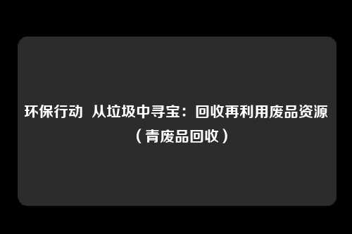 环保行动  从垃圾中寻宝：回收再利用废品资源（青废品回收）