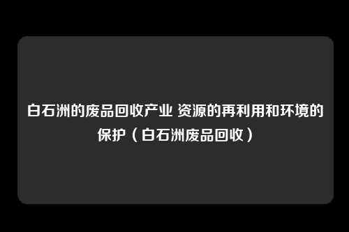 白石洲的废品回收产业 资源的再利用和环境的保护(白石洲废品回收)