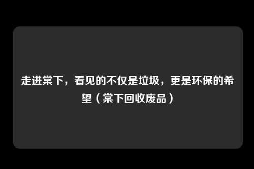 走进棠下，看见的不仅是垃圾，更是环保的希望（棠下回收废品）