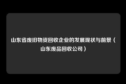 山东省废旧物资回收企业的发展现状与前景(山东废品回收公司)
