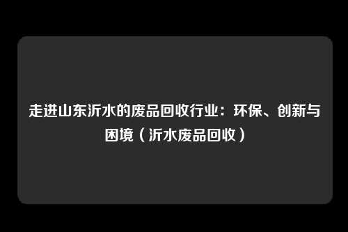 走进山东沂水的废品回收行业:环保、创新与困境(沂水废品回收)