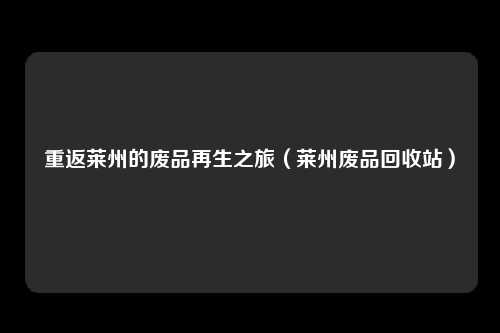 重返莱州的废品再生之旅（莱州废品回收站）