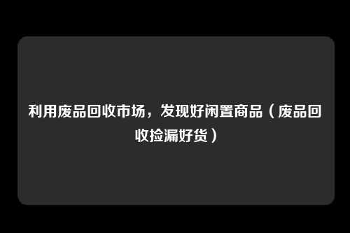 利用废品回收市场,发现好闲置商品(废品回收捡漏好货)